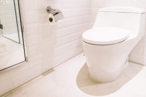 Produto Vaso sanitário Plus
